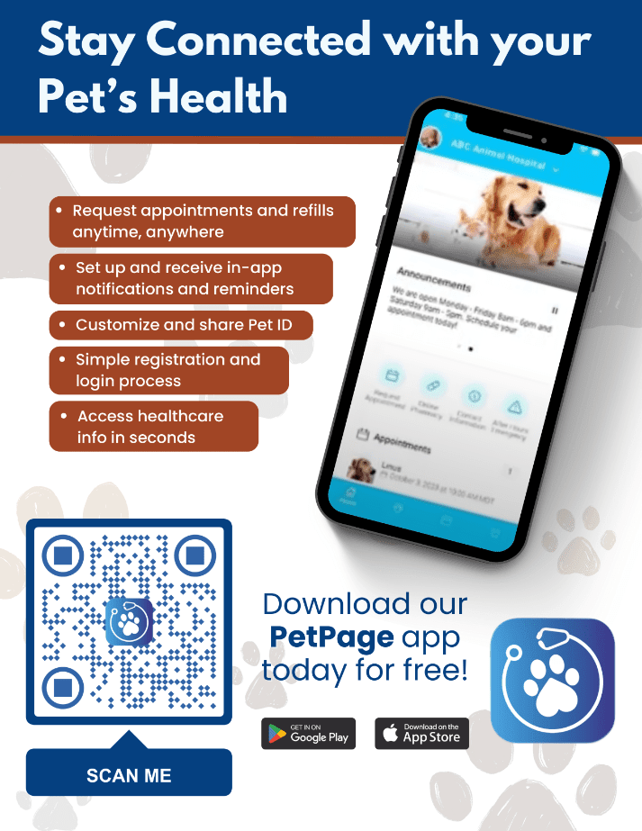 PetPage App, Saint John