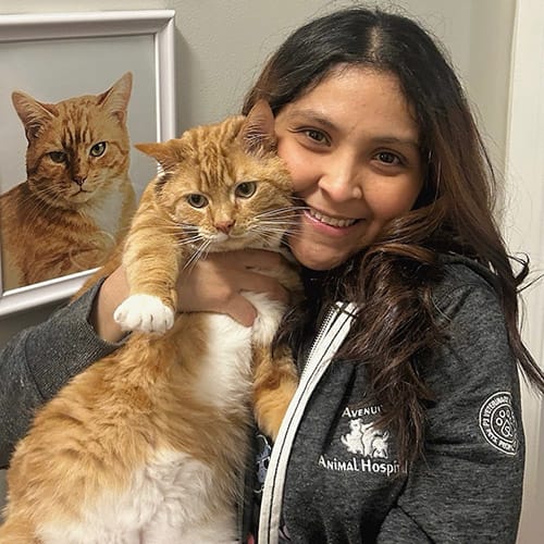 Saint John Registered Veterinary Technologist