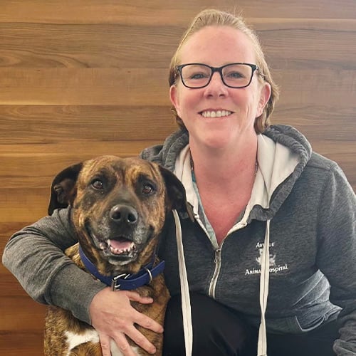 Saint John Receptionist