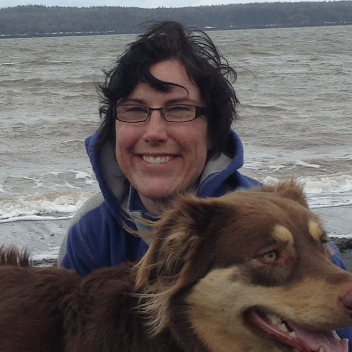 Saint John Veterinarian