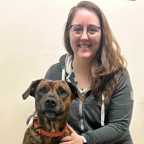 Saint John Veterinarian