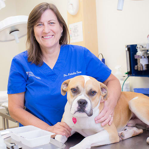 Saint John Veterinarian