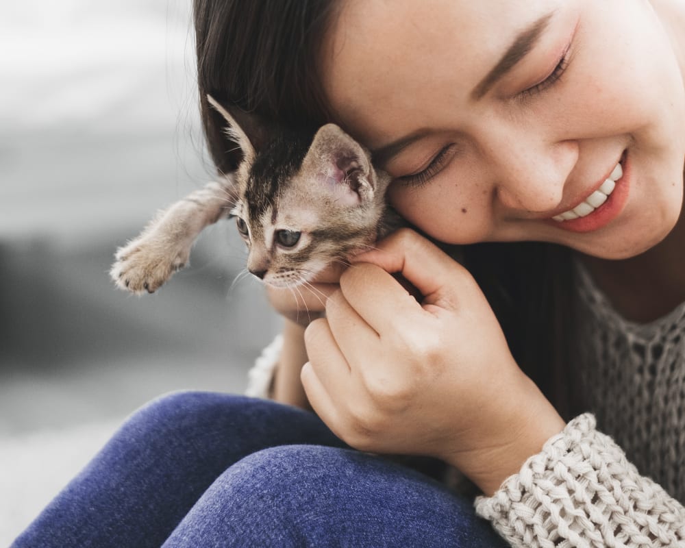 Puppies & Kittens, Saint John Veterinarians